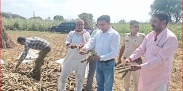 Crops destroyed by rain, former MLA Baljit Yadav adamant on demanding compensation to farmers