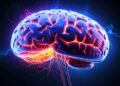 Dementia scared Australia, report in report 'Number of victims will reach 10 lakhs by 2065'