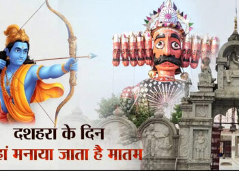 dsafd