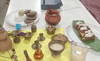 For Ayurveda people: 10th Ayurveda Day celebrated in Ahmedabad
