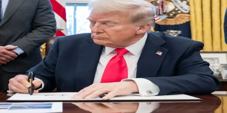 H-1B Visa Fees: Concern over Donald Trump's decision to impose a fee of $ 1 million on H1B visa, economist said which areas will suffer losses in America, US economists revic sound sector will be hurt by imposing fees on h 1b Visas