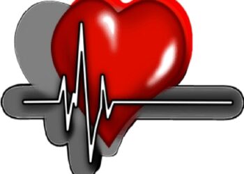 Heart is more powerful than brain, keep attention in a special way