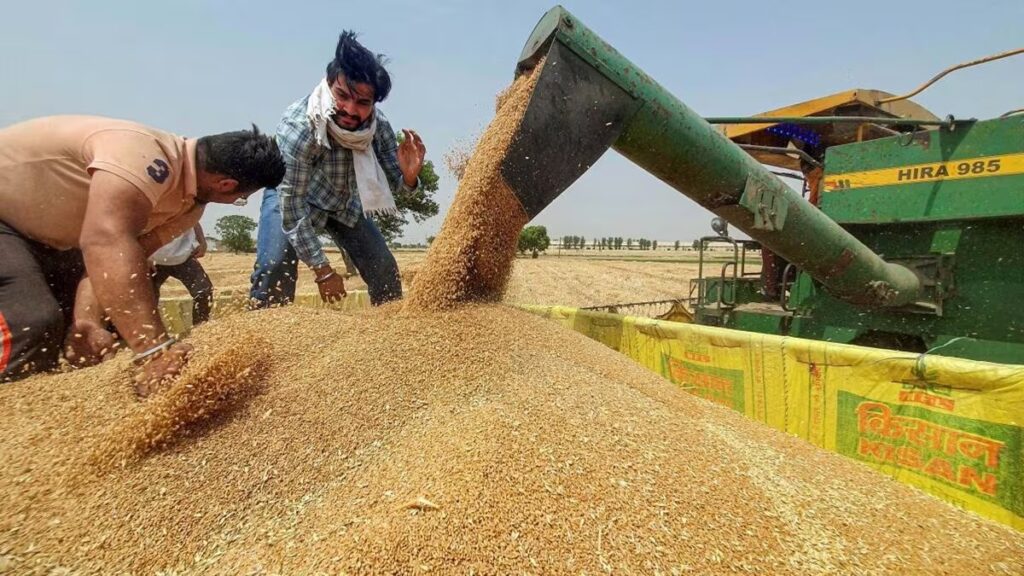 How Punjab Floods Affect India Food Supply Chain Impact on Indian Crops | Rice and Anta will be very expensive, the budget of Punjab will spoil everyone's budget. News Track in Hindi