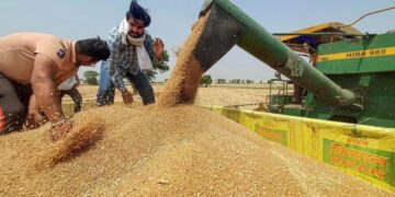 How Punjab Floods Affect India Food Supply Chain Impact on Indian Crops | Rice and Anta will be very expensive, the budget of Punjab will spoil everyone's budget. News Track in Hindi