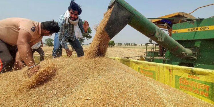 How Punjab Floods Affect India Food Supply Chain Impact on Indian Crops | Rice and Anta will be very expensive, the budget of Punjab will spoil everyone's budget. News Track in Hindi