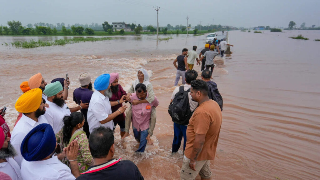 How is the manger after flood waters in Punjab? Learn the whole matter