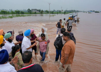How is the manger after flood waters in Punjab? Learn the whole matter