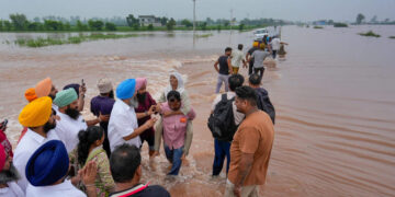 How is the manger after flood waters in Punjab? Learn the whole matter