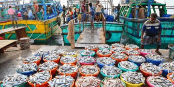 In order to increase the export of tuna and marine algae, the central government will organize investor meat in Lakshadweep