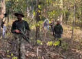Large success of security forces in Chhattisgarh, commander Balakrishna including 10 Naxalites in Gariaband encounter