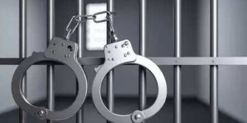 मुंबई क्राइम ब्रांच की बड़ी कार्रवाई, 11 ड्रग्स तस्कर गिरफ्तार