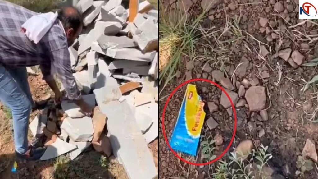 Newborn Boy Stuffed With Stone in Bhilwara, Fevique Smeared on Lips, Thrown in Forest | Humanity died! Stone stones in the mouth of the newborn, favic on the lips, then thrown into the forest. News Track in Hindi