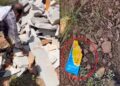 Newborn Boy Stuffed With Stone in Bhilwara, Fevique Smeared on Lips, Thrown in Forest | Humanity died! Stone stones in the mouth of the newborn, favic on the lips, then thrown into the forest. News Track in Hindi