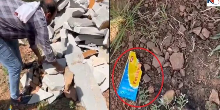 Newborn Boy Stuffed With Stone in Bhilwara, Fevique Smeared on Lips, Thrown in Forest | Humanity died! Stone stones in the mouth of the newborn, favic on the lips, then thrown into the forest. News Track in Hindi