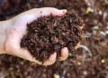 Odisha: Opposition parties criticize the state government for fertilizer crisis