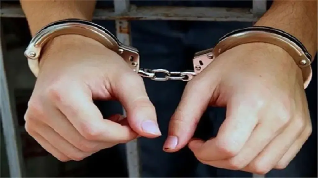 Pakistani Terror Module Busted: Exposure of terrorist module related to Pakistan, Delhi Police arrested five suspects and recovered IED items, Delhi Police BUSTS Pakistani Terror Module Module But Helds Used For Ied Making For Ied Making