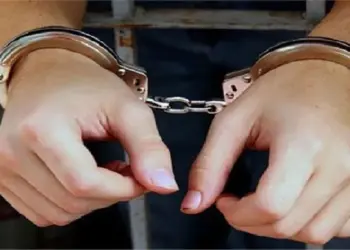 Pakistani Terror Module Busted: Exposure of terrorist module related to Pakistan, Delhi Police arrested five suspects and recovered IED items, Delhi Police BUSTS Pakistani Terror Module Module But Helds Used For Ied Making For Ied Making