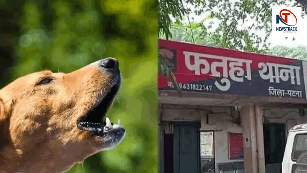 Patna Murder: Brother Kills Another over Dog Barking, Relatives Beat Attacker in Reveng | Patna: Cousin murdered on dog barking, family bled the accused by beating him. News Track in Hindi