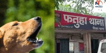 Patna Murder: Brother Kills Another over Dog Barking, Relatives Beat Attacker in Reveng | Patna: Cousin murdered on dog barking, family bled the accused by beating him. News Track in Hindi