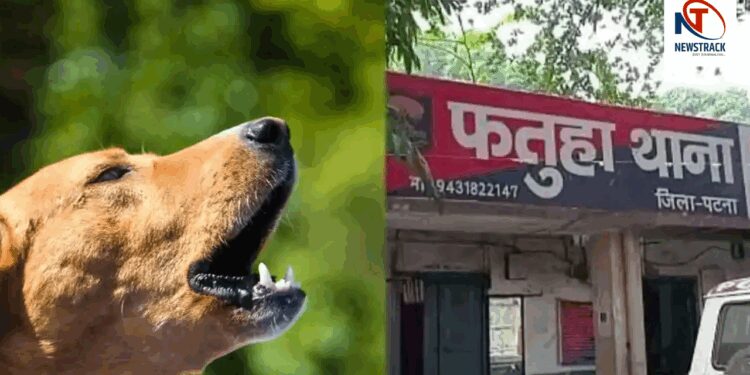 Patna Murder: Brother Kills Another over Dog Barking, Relatives Beat Attacker in Reveng | Patna: Cousin murdered on dog barking, family bled the accused by beating him. News Track in Hindi