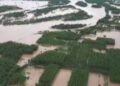 Punjab floods: Death toll is 46, standing crop wasted on 1.75 lakh hectares