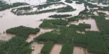 Punjab floods: Death toll is 46, standing crop wasted on 1.75 lakh hectares