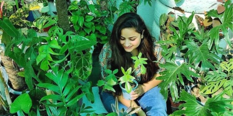 Sakshi's crazy for trees- 4000 trees grown in 800 square feet, rare plants planted in coconut shell