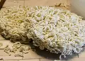 Social media challenge becomes dangerous, 13 -year -old boy dies after eating raw noodles