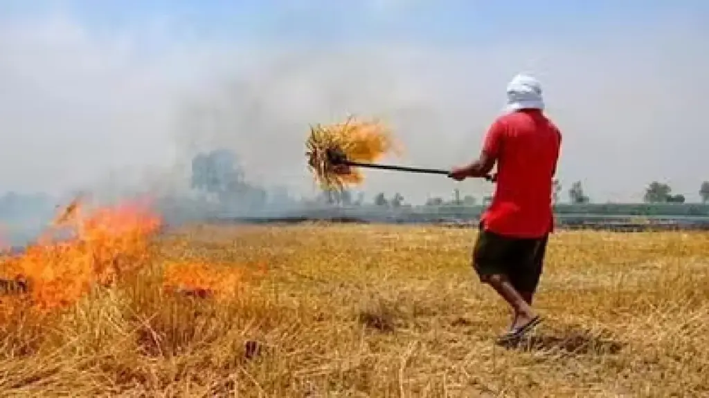 Stubble Burning in Punjab: Farmers burning in Punjab despite the warning of Supreme Court to send jail!