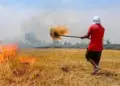 Stubble Burning in Punjab: Farmers burning in Punjab despite the warning of Supreme Court to send jail!
