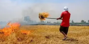 Stubble Burning in Punjab: Farmers burning in Punjab despite the warning of Supreme Court to send jail!