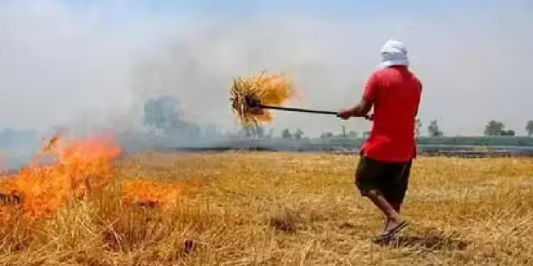 Stubble Burning in Punjab: Farmers burning in Punjab despite the warning of Supreme Court to send jail!