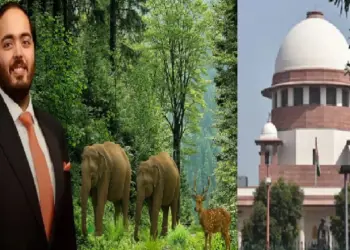 Supreme Court on Vantara: A big relief from the Supreme Court to Vantara and Anant Ambani, said- If the process is being followed, then it is not wrong to hand over the elephants, SIT will not even be public reports public, Supreme Court Says Nothing WRONSFER OLEPHANTS TEMPLE Elephants to Vantara of Anant Amb