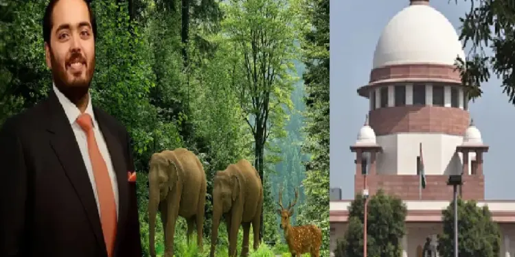 Supreme Court on Vantara: A big relief from the Supreme Court to Vantara and Anant Ambani, said- If the process is being followed, then it is not wrong to hand over the elephants, SIT will not even be public reports public, Supreme Court Says Nothing WRONSFER OLEPHANTS TEMPLE Elephants to Vantara of Anant Amb