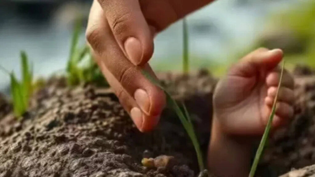 The 15 -day -old girl was buried alive, how did the boy who grazed the goat save his life?