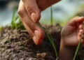 The 15 -day -old girl was buried alive, how did the boy who grazed the goat save his life?