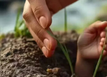The 15 -day -old girl was buried alive, how did the boy who grazed the goat save his life?