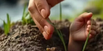 The 15 -day -old girl was buried alive, how did the boy who grazed the goat save his life?