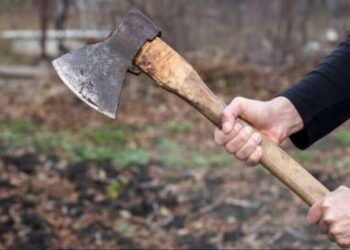 The man killed his wife with an ax, committed suicide himself; Mourn