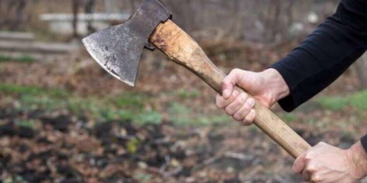The man killed his wife with an ax, committed suicide himself; Mourn