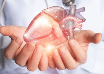 Treatment of 'Broken Heart Syndrome' is connected to the brain! Open secret in studies