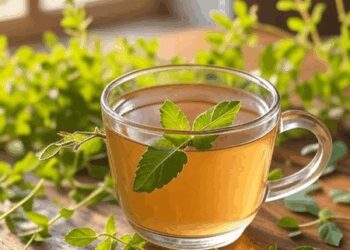 तुलसी का काढ़ा: मां के आशीर्वाद जैसी जड़ी-बूटी, जो रोग और इम्यूनिटी दोनों को संभाले