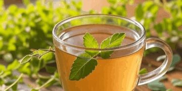 तुलसी का काढ़ा: मां के आशीर्वाद जैसी जड़ी-बूटी, जो रोग और इम्यूनिटी दोनों को संभाले