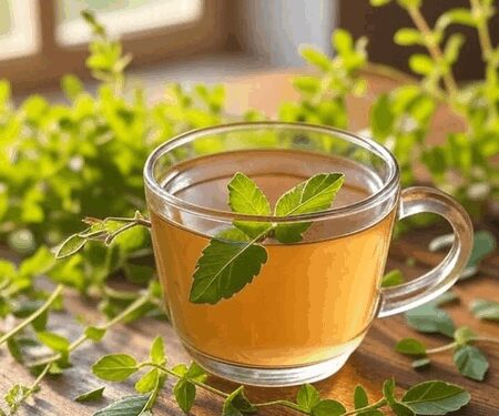 तुलसी का काढ़ा: मां के आशीर्वाद जैसी जड़ी-बूटी, जो रोग और इम्यूनिटी दोनों को संभाले