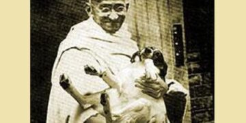 महात्मा गांधी का अनोखा निर्णय! 60 कुत्तों को मारने की सहमति और उसके पीछे छिपी कम पाप और ज्यादा पाप की सोच, जाने क्या थी वो दलील&nbsp;