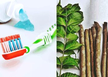 Use Datun instead of a toothbrush! Miraculous benefits are mentioned in Ayurveda