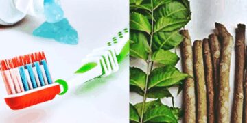 Use Datun instead of a toothbrush! Miraculous benefits are mentioned in Ayurveda