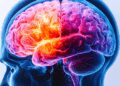 Vascular dementia is a major problem, brain damage from microplastics: study
