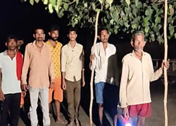 Wild animal terror for a week in Bahraich, villagers in panic, three -month -old girl died