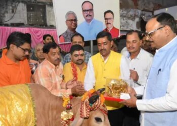 Did Tilak, wore Chunari and fed jaggery to the cow... Deputy Chief Minister, Tourism Minister, MLA and MLC worshiped the cows on Gopashtami.